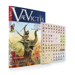 VaeVictis 170 - édition jeu