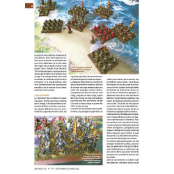 VaeVictis 170 - Game issue