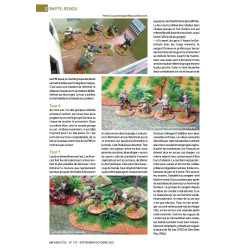 VaeVictis 170 - Game issue