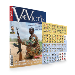 VaeVictis 172 - Game issue