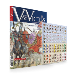 VaeVictis 173 - Game Issue