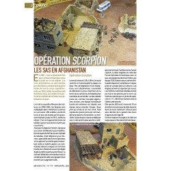 VaeVictis 173 - Game Issue