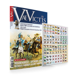 VaeVictis 174 - edition jeu