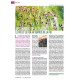 VaeVictis 174 - Game issue