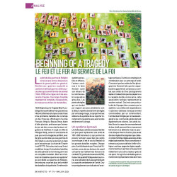 VaeVictis 174 - edition jeu