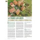 VaeVictis 174 - edition jeu