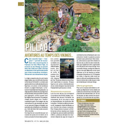 VaeVictis 174 - Game issue