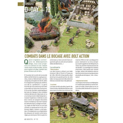 VaeVictis 175 - Game issue