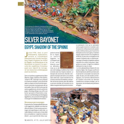 VaeVictis 175 - Game issue
