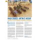 VaeVictis 176 - Game issue