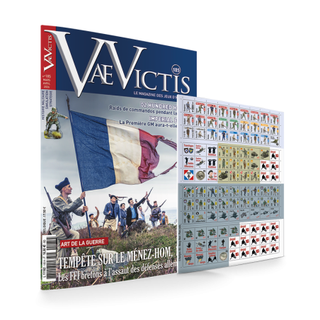 VaeVictis 185 game issue