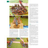 VaeVictis n°129