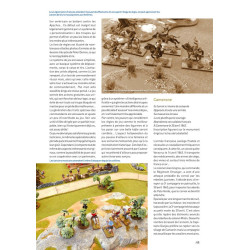 VaeVictis 131 