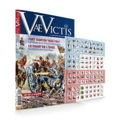 VaeVictis 142 - Game issue