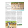 VaeVictis 147 Special game issue