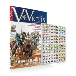 VaeVictis 157 - Special game issue
