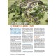 VaeVictis 158 - Special Game Issue