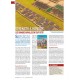 VaeVictis 163 - game issue