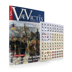 VaeVictis 164 - édition jeu