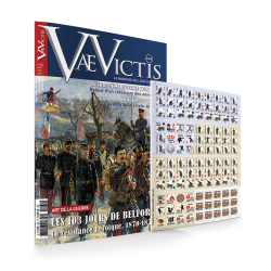 VaeVictis 164 - Game issue