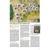 VaeVictis 165 - Game issue